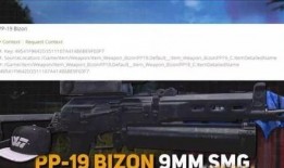 pubg外网爆料最新,新版本内容前瞻，神秘新玩法即将上线！